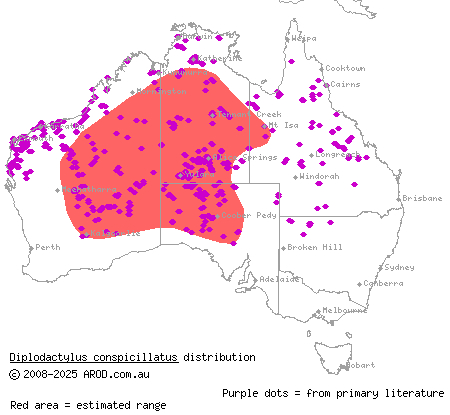 variable fat-tailed gecko (Diplodactylus conspicillatus) distribution range map