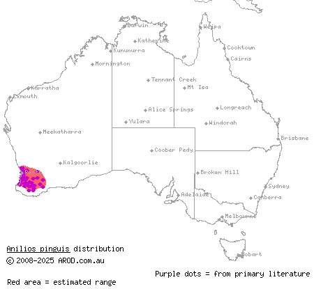 rotund blind snake (Anilios pinguis) distribution range map