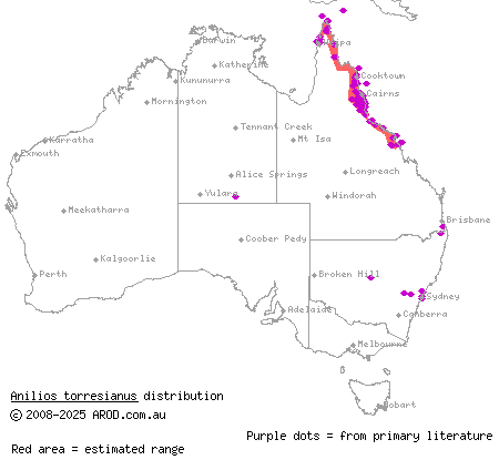 north-eastern blind snake (Anilios torresianus) distribution range map