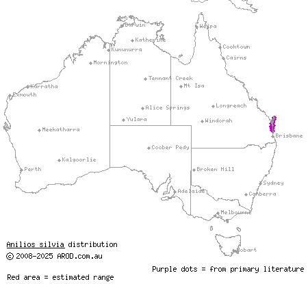 Cooloola blind snake (Anilios silvia) distribution range map