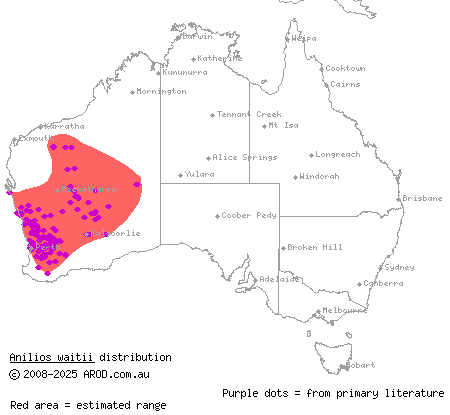 beaked blind snake (Anilios waitii) distribution range map