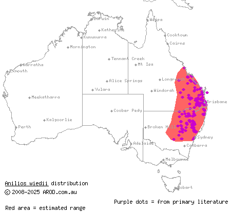 brown-snouted blind snake (Anilios wiedii) distribution range map