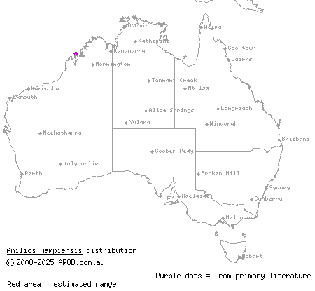 Yampi blind snake (Anilios yampiensis) distribution range map