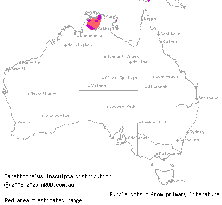 pig-nosed turtle (Carettochelys insculpta) distribution range map