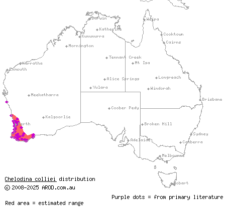 south-western long-necked turtle (Chelodina colliei) distribution range map