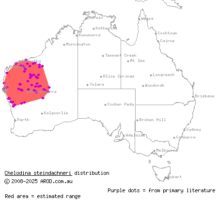 flat-shelled turtle (Chelodina steindachneri) distribution range map