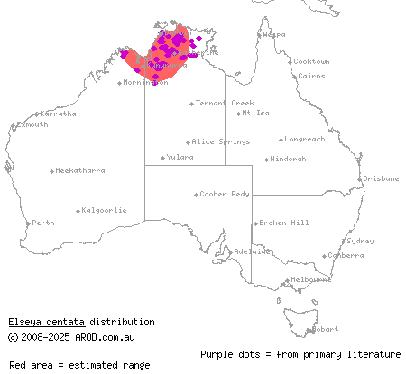 northern snapping turtle (Elseya dentata) distribution range map