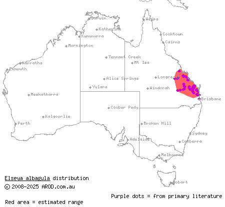 southern snapping turtle (Elseya albagula) distribution range map