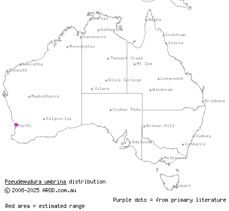 western swamp turtle (Pseudemydura umbrina) distribution range map