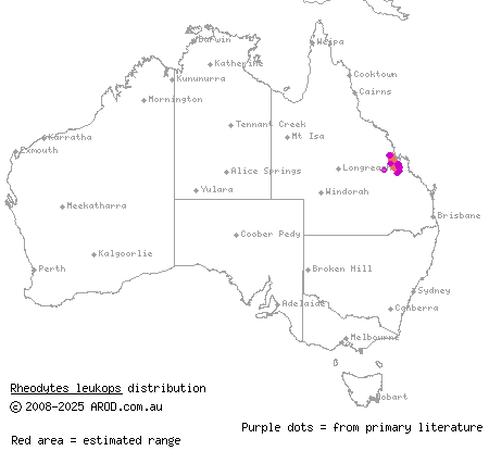 Fitzroy River turtle (Rheodytes leukops) distribution range map