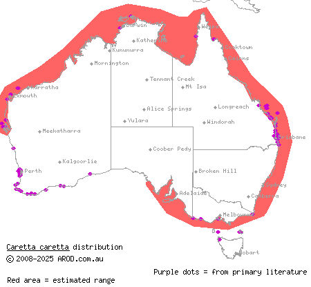 loggerhead turtle (Caretta caretta) distribution range map