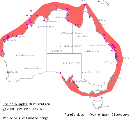 green turtle (Chelonia mydas) distribution range map