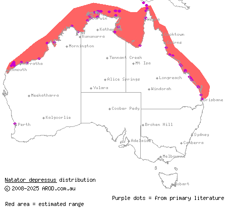 flatback turtle (Natator depressus) distribution range map