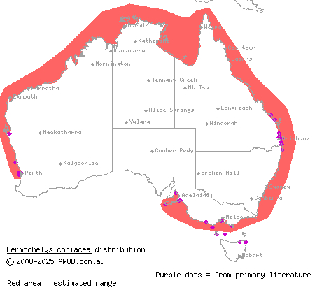 leatherback turtle (Dermochelys coriacea) distribution range map