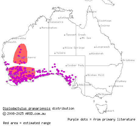 western stone gecko (Diplodactylus granariensis) distribution range map