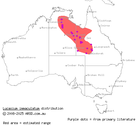 pale-striped ground gecko (Lucasium immaculatum) distribution range map