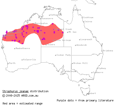 southern phasmid gecko (Strophurus jeanae) distribution range map