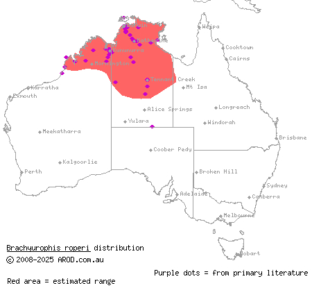 northern shovel-nosed snake (Brachyurophis roperi) distribution range map