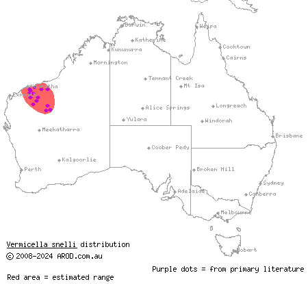 Pilbara bandy-bandy (Vermicella snelli) distribution range map