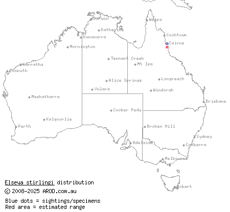 Stirling's turtle (Elseya stirlingi) distribution range map