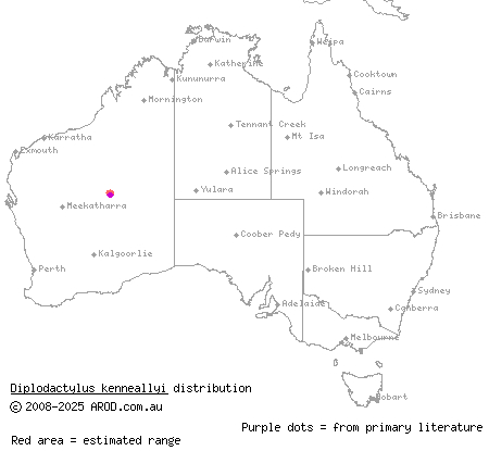 Kenneally's gecko (Diplodactylus kenneallyi) distribution range map