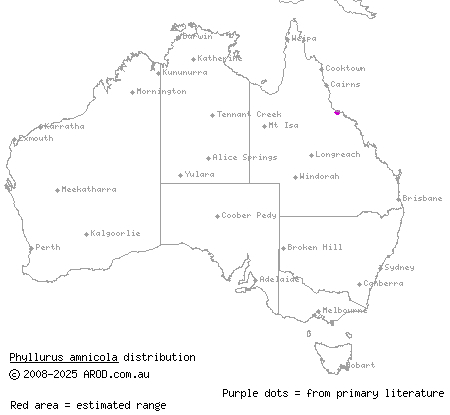 riverine leaf-tailed gecko (Phyllurus amnicola) distribution range map