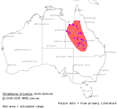 Kristin's spiny-tailed gecko (Strophurus krisalys) distribution range map