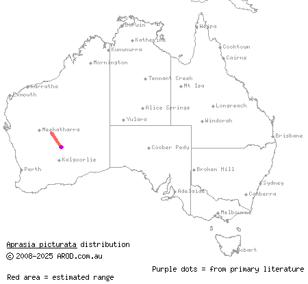 black-headed worm-lizard (Aprasia picturata) distribution range map