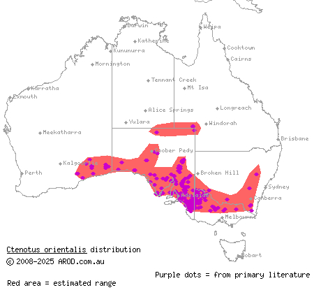 eastern ctenotus (Ctenotus orientalis) distribution range map