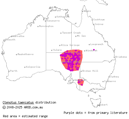 ribbon ctenotus (Ctenotus taeniatus) distribution range map