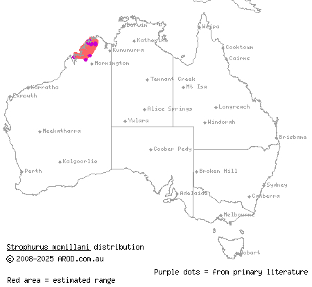 short-tailed striped gecko (Strophurus mcmillani) distribution range map