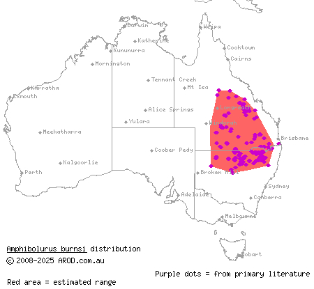 Burns' dragon (Amphibolurus burnsi) distribution range map