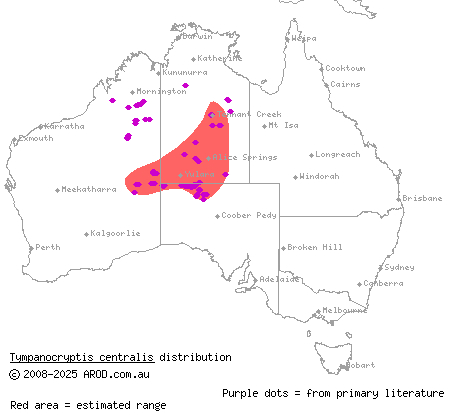 centralian earless dragon (Tympanocryptis centralis) distribution range map