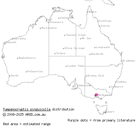 Victorian grassland earless dragon (Tympanocryptis pinguicolla) distribution range map