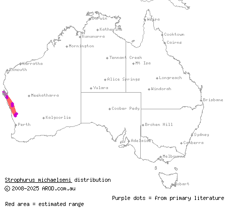 robust striped gecko (Strophurus michaelseni) distribution range map