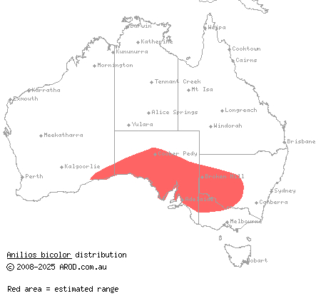 dark-spined blind snake (Anilios bicolor) distribution range map