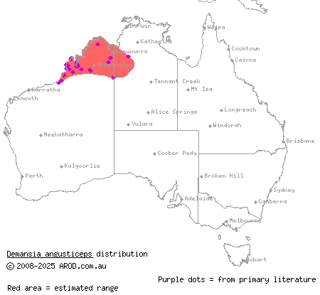 narrow-headed whipsnake (Demansia angusticeps) distribution range map