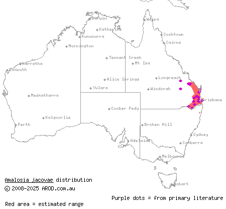 clouded gecko (Amalosia jacovae) distribution range map