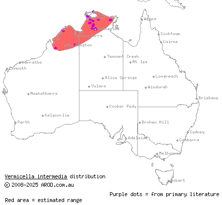 intermediate bandy-bandy (Vermicella intermedia) distribution range map