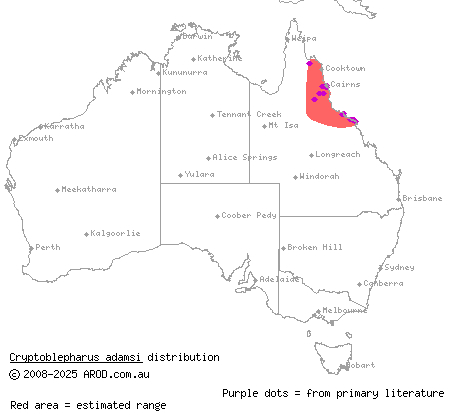 Adams' snake-eyed skink (Cryptoblepharus adamsi) distribution range map