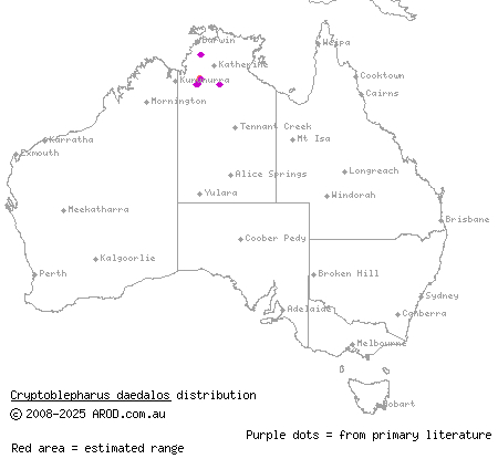 dappled snake-eyed skink (Cryptoblepharus daedalos) distribution range map