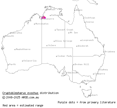 noble snake-eyed skink (Cryptoblepharus exochus) distribution range map