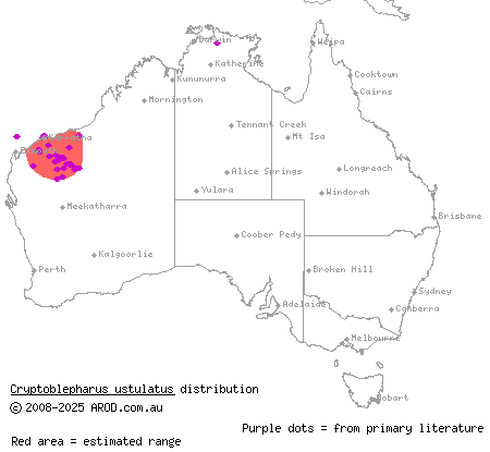 russet snake-eyed skink (Cryptoblepharus ustulatus) distribution range map