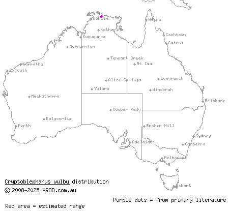 spangled snake-eyed skink (Cryptoblepharus wulbu) distribution range map