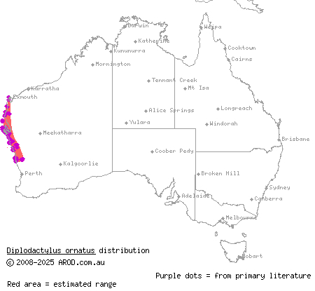 ornate stone gecko (Diplodactylus ornatus) distribution range map