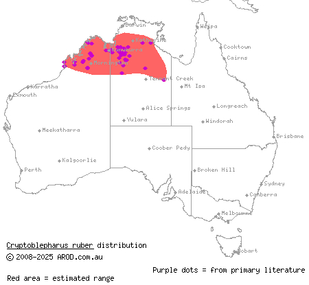 tawny snake-eyed skink (Cryptoblepharus ruber) distribution range map