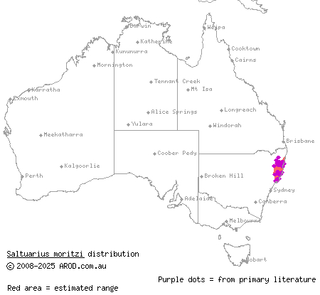 Moritz's leaf-tailed gecko (Saltuarius moritzi) distribution range map