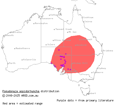 shield-snouted brown snake (Pseudonaja aspidorhyncha) distribution range map