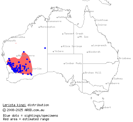 King's three-toed slider (Lerista kingi) distribution range map