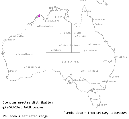 median-striped ctenotus (Ctenotus mesotes) distribution range map